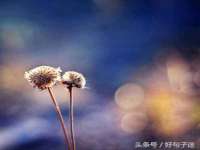 北京益佳购电子商务有限公司
