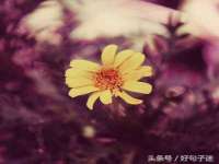 北京益佳购电子商务有限公司