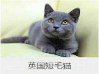 北京益佳购电子商务有限公司