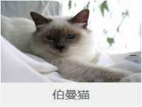 北京益佳购电子商务有限公司