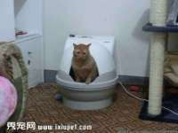 北京益佳购电子商务有限公司