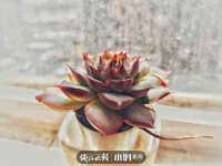 北京益佳购电子商务有限公司