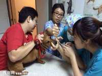 北京益佳购电子商务有限公司