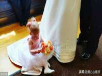 北京益佳购电子商务有限公司